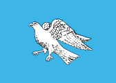 blue, white falcon