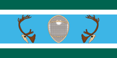 green-white-blue-white-green, snowshoe and antlers