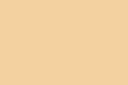 plain tan