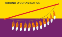 yellow-purple, feathered staff and