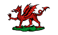 white, red dragon